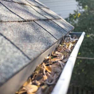 leaf buildup in fall in roof and gutters
